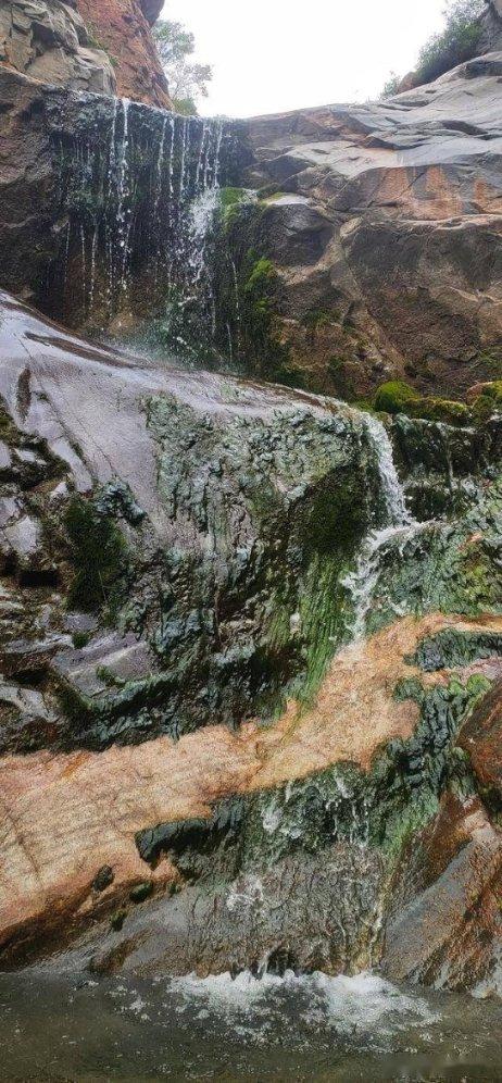 自治区残联领导赴东莞、昆明残疾人体育集训点开展工作调研和慰问残疾运动员